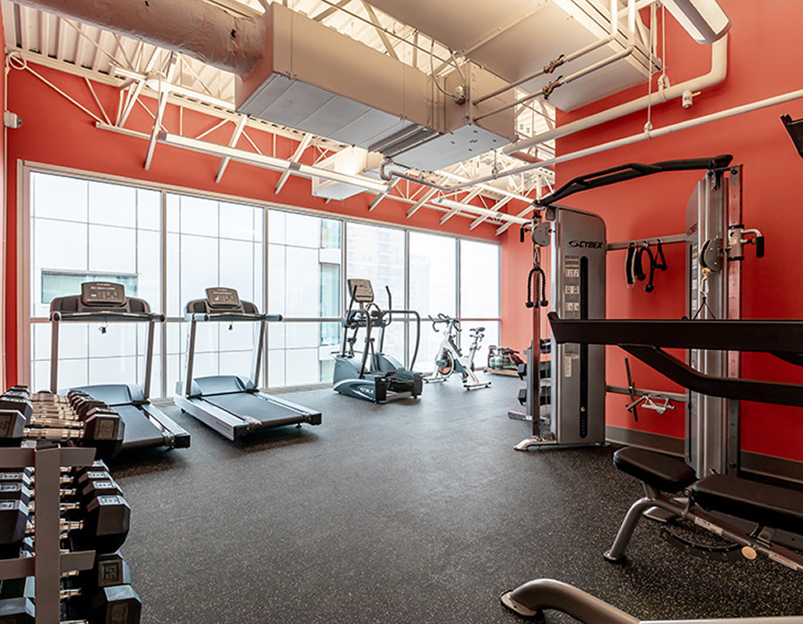 Penthouse fitness center overlooking the south loop