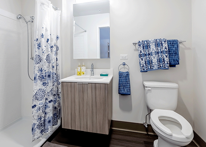 Modern bathroom finishes in a 1 bedroom ADA apartment